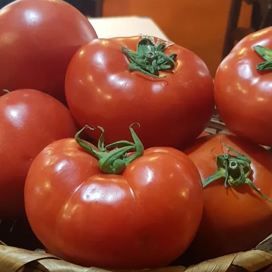 Menu_Al Andalus Tasca_San Cristóbal de La Laguna_image_8