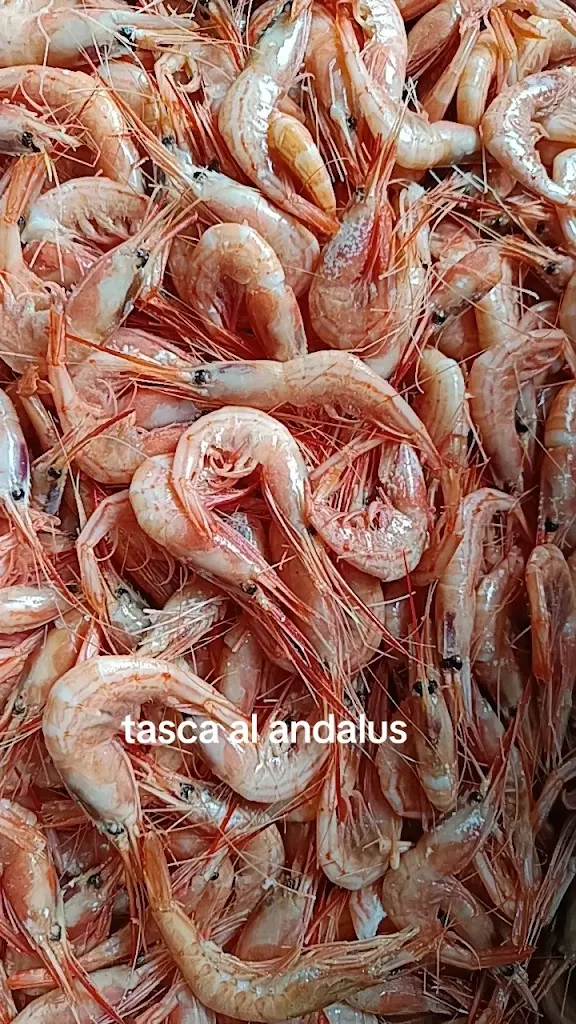 Al Andalus Tasca_San Cristóbal de La Laguna_slider_image_3