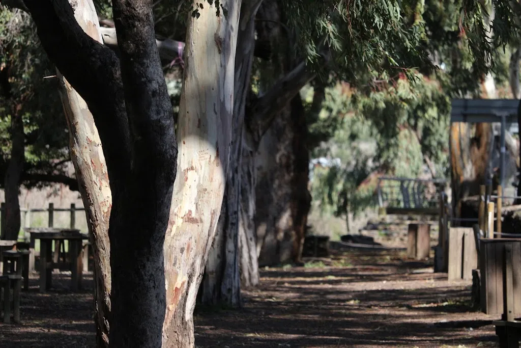 Kiosco El Parque_Santiago del Teide_slider_image_3