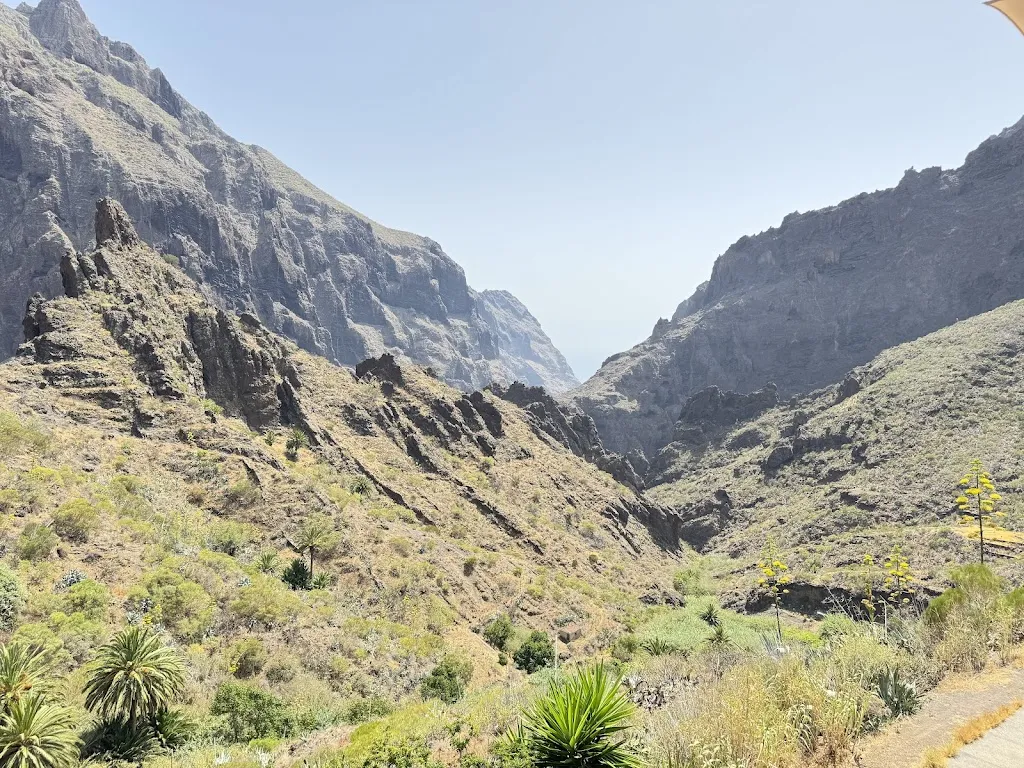 Patrick Schoenemann_Restaurante 