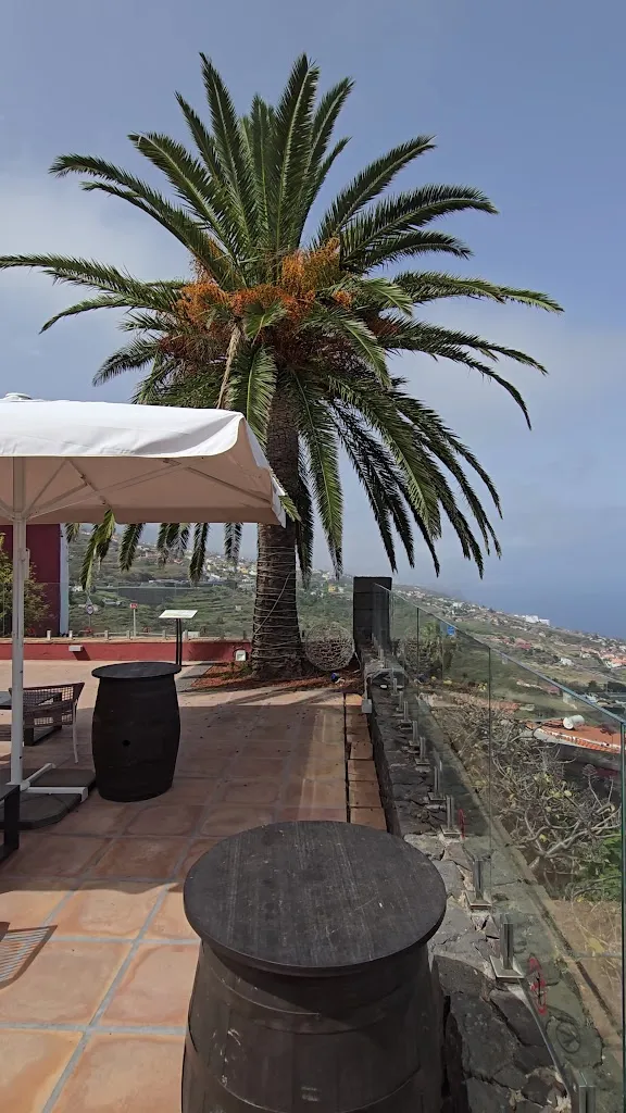 Andres Larin_Casa del Vino_Sauzal El_recensione