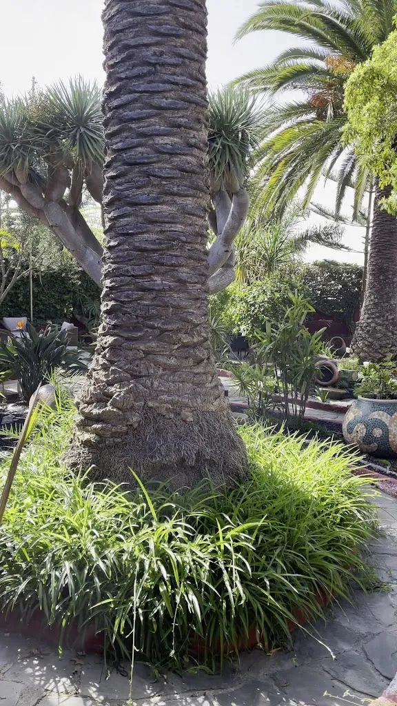 El Jardín de Tacoronte_Sauzal El_slider_image_2