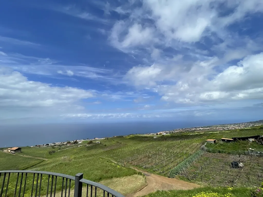 Keely Chavez_Bodegas Monje_Sauzal El_recensione