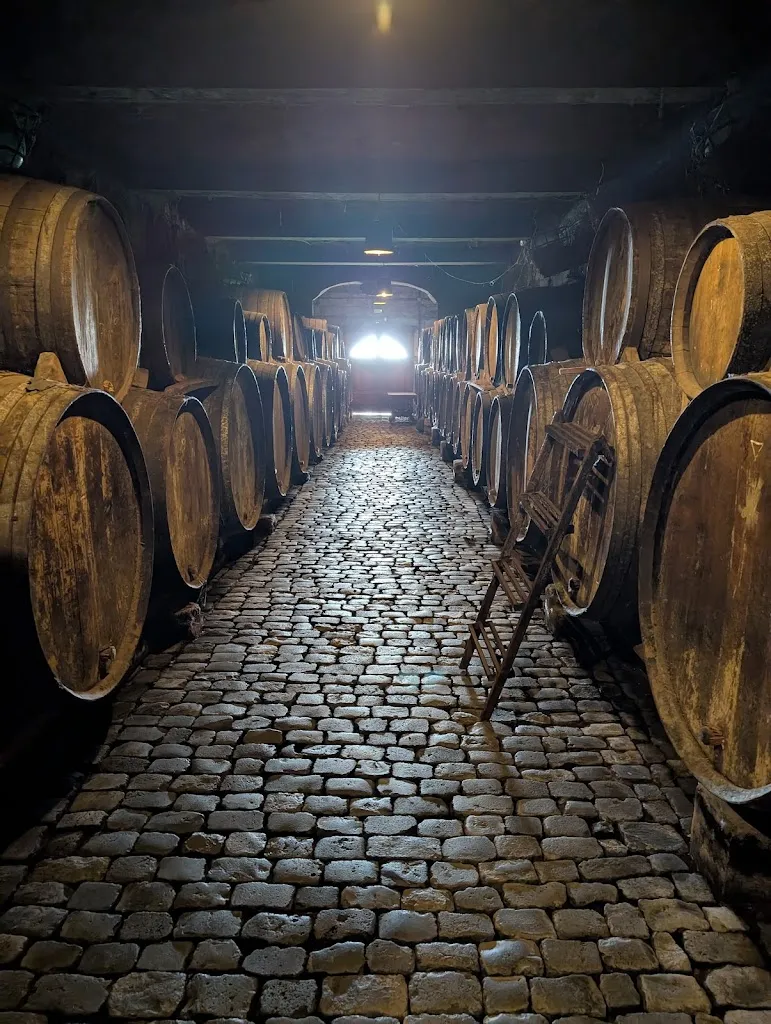 Mark H_Bodegas Monje_Sauzal El_recensione