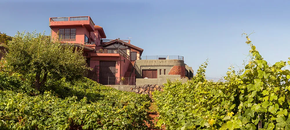 Bodegas Monje restaurant in Sauzal El