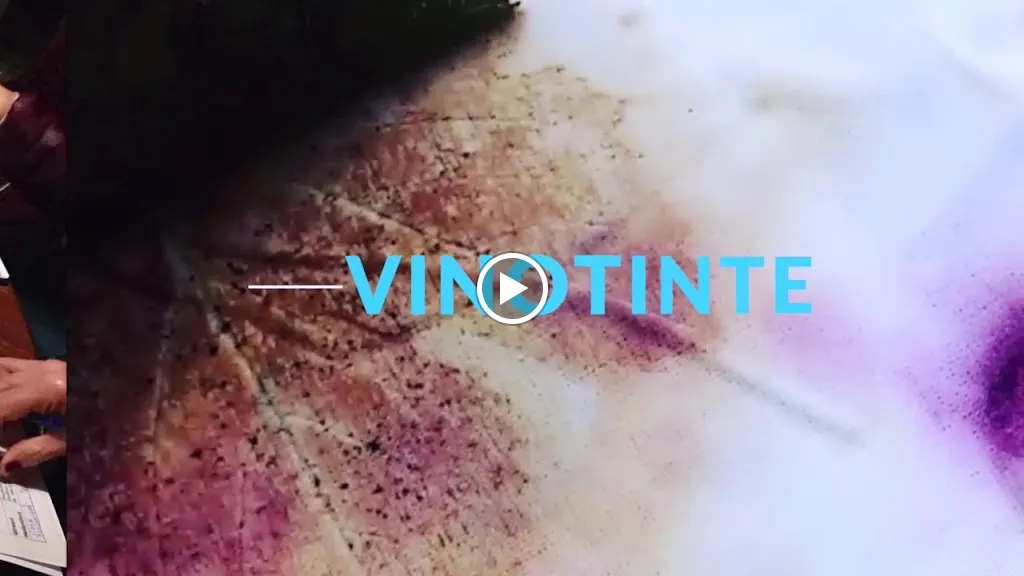 Bodegas Monje_Sauzal El_slider_image_2