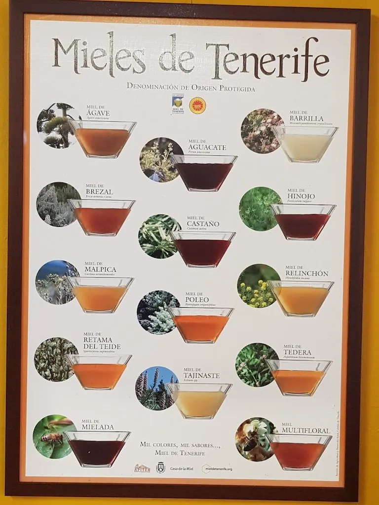 Menu_Restaurante Donde Francisca_Tacoronte_immagine_2