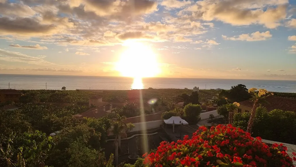 Gaby Schouten_Bar La marmota_Tazacorte_review