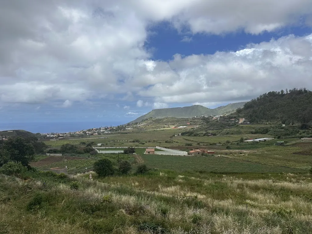 Victoria Hernandez_Restaurante La Sandunga_Tegueste_review