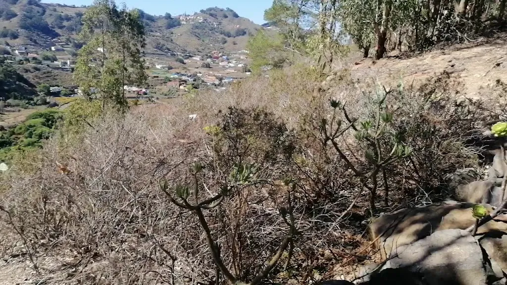 Benzonia_Tegueste_slider_image_2