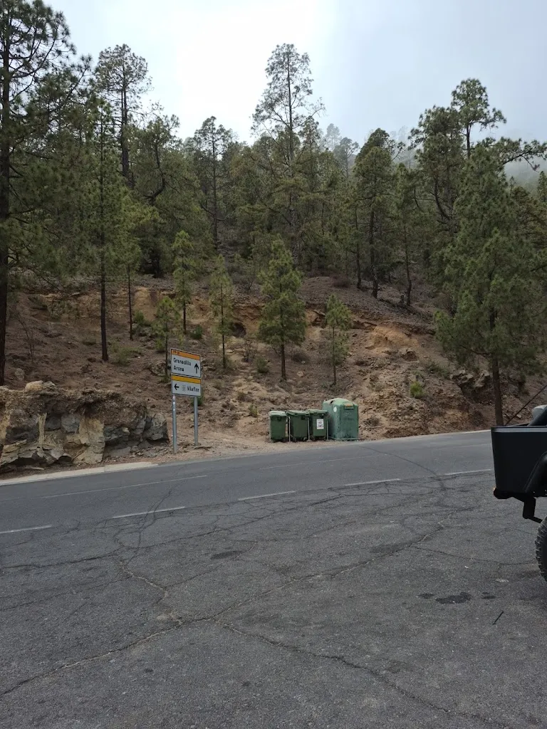 Lee Wolfe_Restaurante - Cafetería 