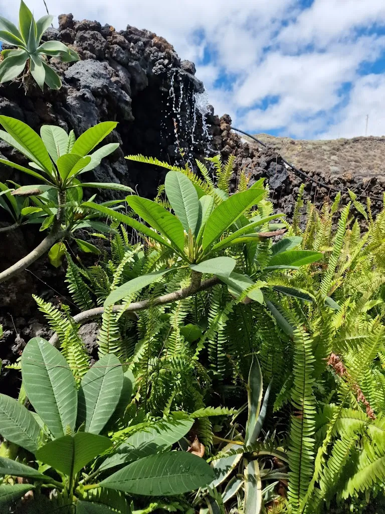 shahriar pahlavan_Kiosco Playa Salemera_Villa de Mazo_review