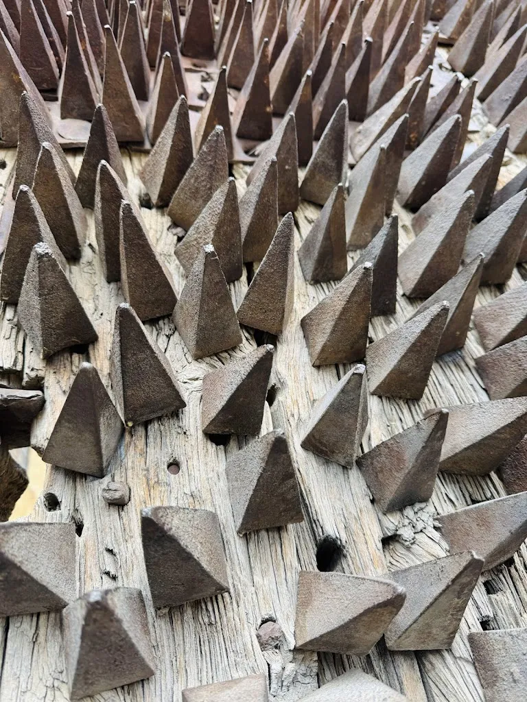 Lena Zhang_Gran Castillo de Pedraza_Aldealengua de Pedraza_avis