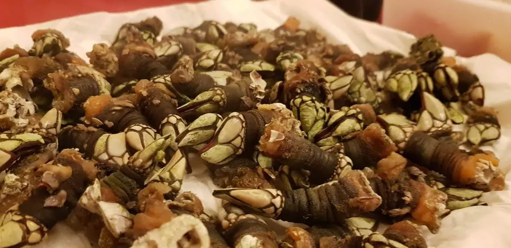 Menu_Bar El Parque_Aldeasoña_image_7