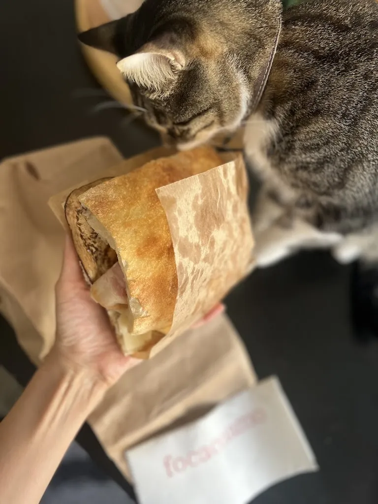 Deniz Koç_focacciamo_Bernardos_recensione