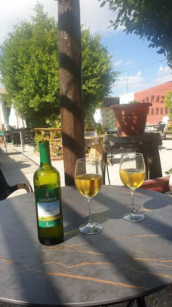 Menu_Terraza Lamarlo_Albox_immagine_7