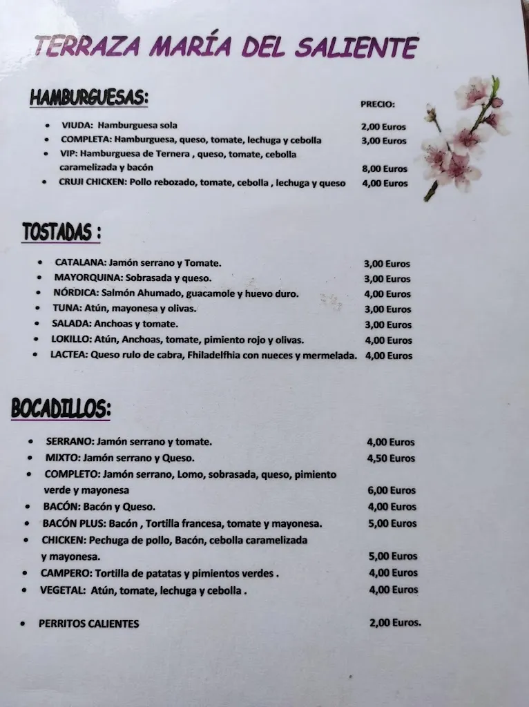 Menu_Restaurante Maria Del Saliente_Albox_image_2