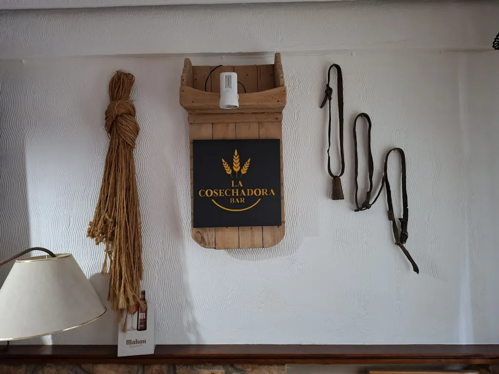 Miguel A. B._La Cosechadora Bar_Castillejo de Mesleón_review