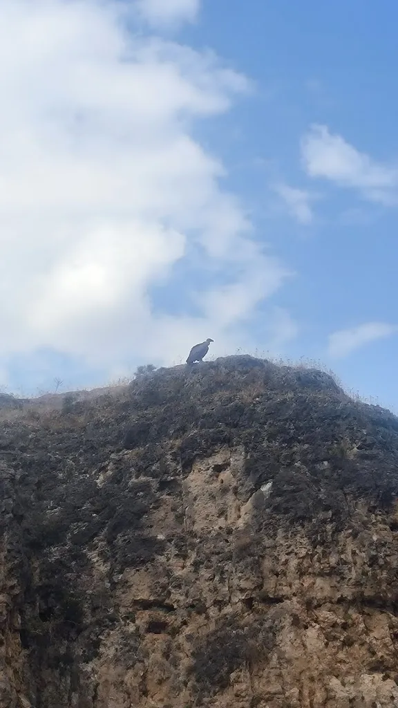 MA VA_Chiringuito El Duranguito Hoces del Duratón_Cobos de Fuentidueña_recensione