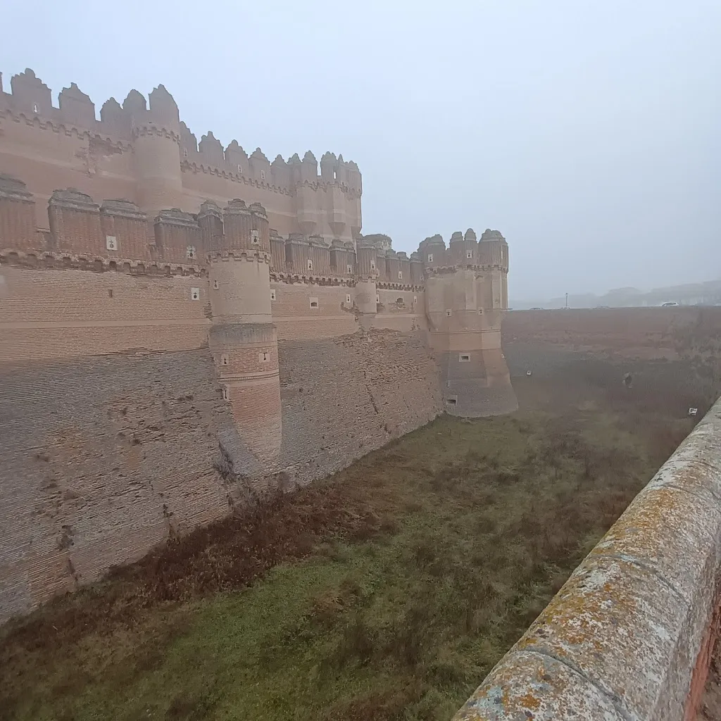 Ellison Tansley_Auténticos CyL Tienda_Coca_review