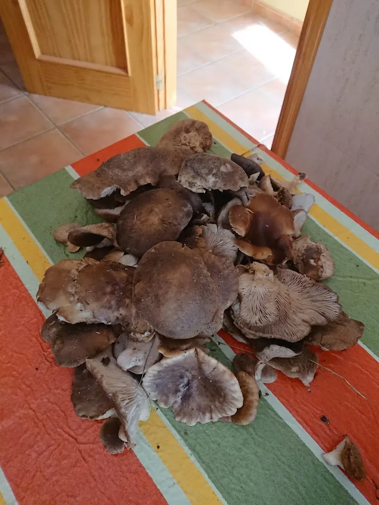 Menu_Asador David Sl_Condado de Castilnovo_image_7