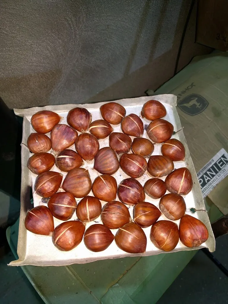 Menu_Bar 82_Cuéllar_image_5