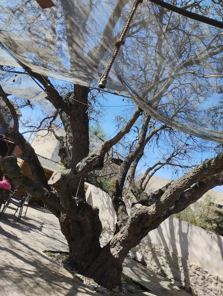 Rodrigo García_Bar Chicote - Terraza El Moral_Cuéllar_review