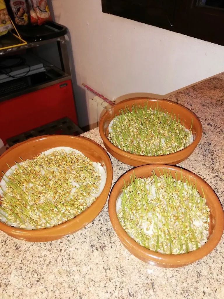 Menu_Restaurante La Parada_Fuente el Olmo de Fuentidueña_image_6