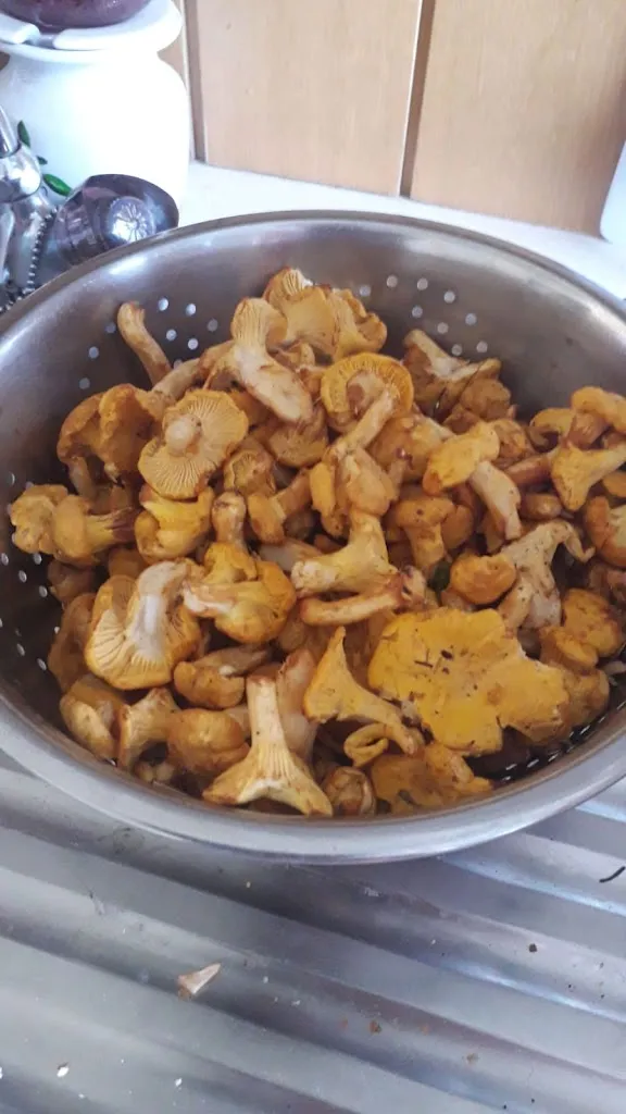 Menu_Hamburgueseria Los Rosales_Espinar El_immagine_2