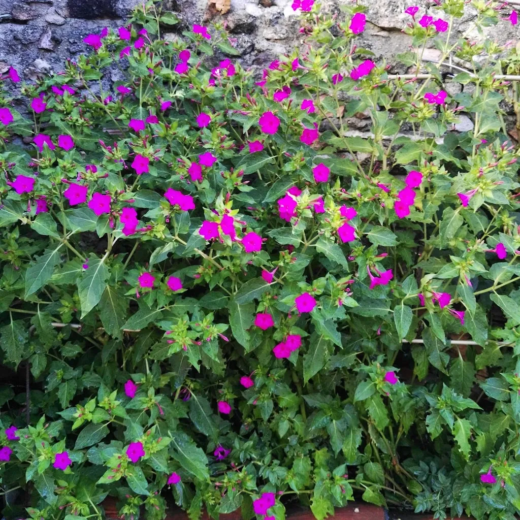 María Rosa García Alonso_Fuentepelayo_slider_image_2