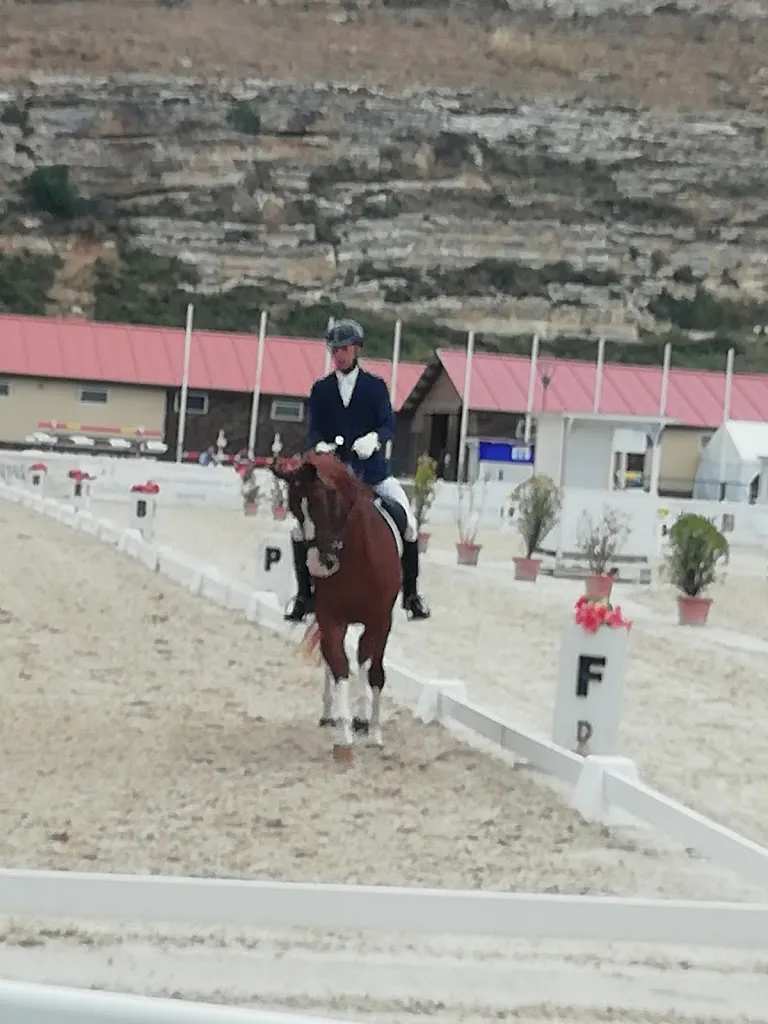 merce menendez_Restaurante Cecyl_Garcillán_review