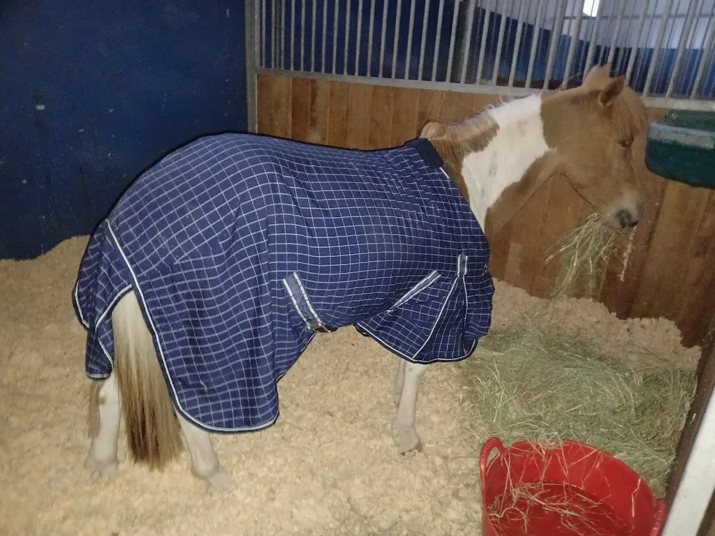 Restaurante Cecyl restaurant in Garcillán