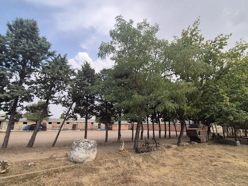 Sophie Fernandez_Restaurante La Hípica Grajera_Grajera_review