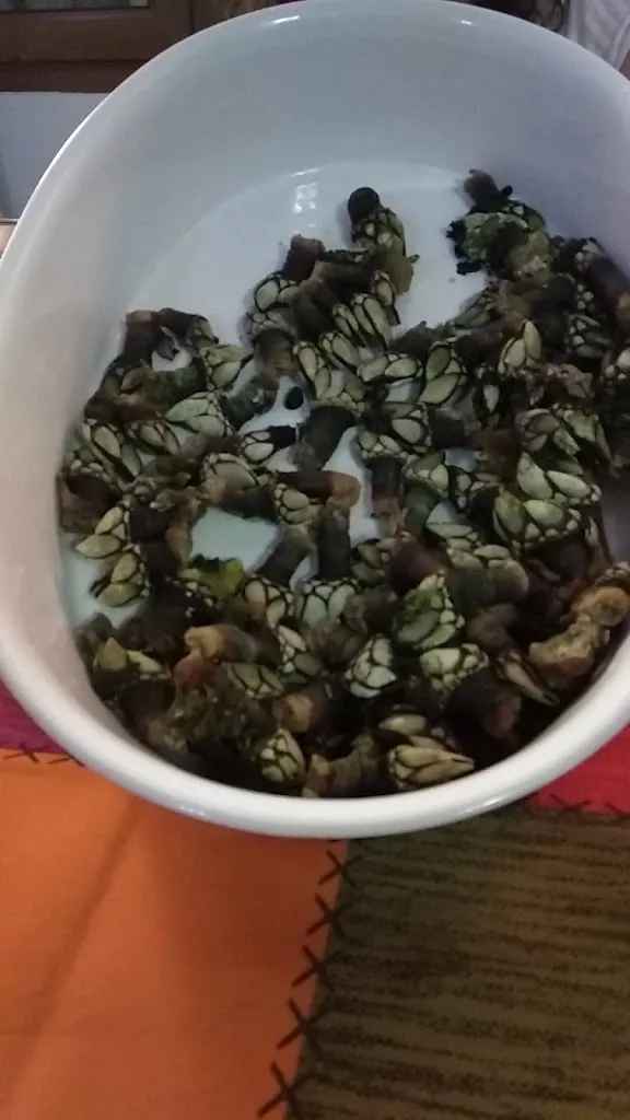 Carlos_El Choco de Grajera_Grajera_review