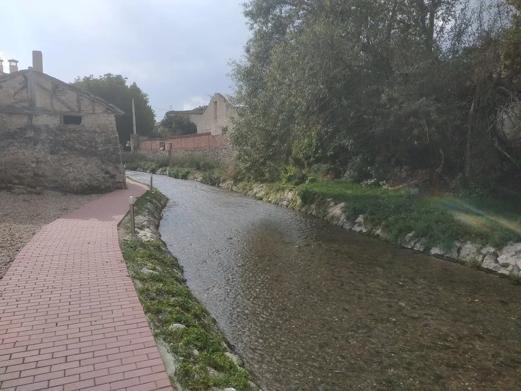 Miguel PS_Bar Laguna_Laguna de Contreras_review