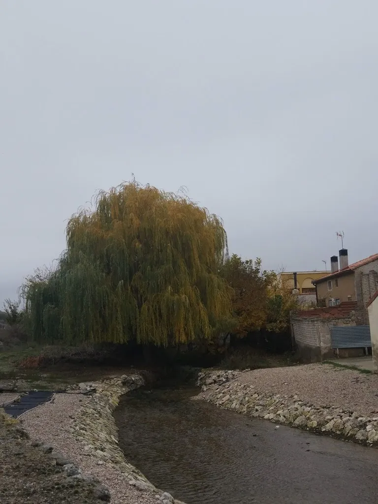 Bar Laguna_Laguna de Contreras_slider_image_3