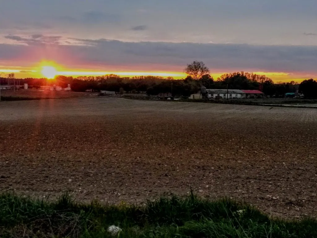 Bar Toledana_Lastras de Cuéllar_slider_image_2