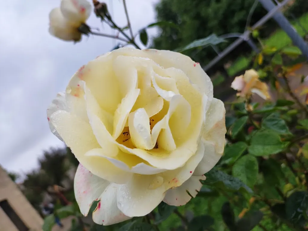 Bar Emília_Matabuena_slider_image_2