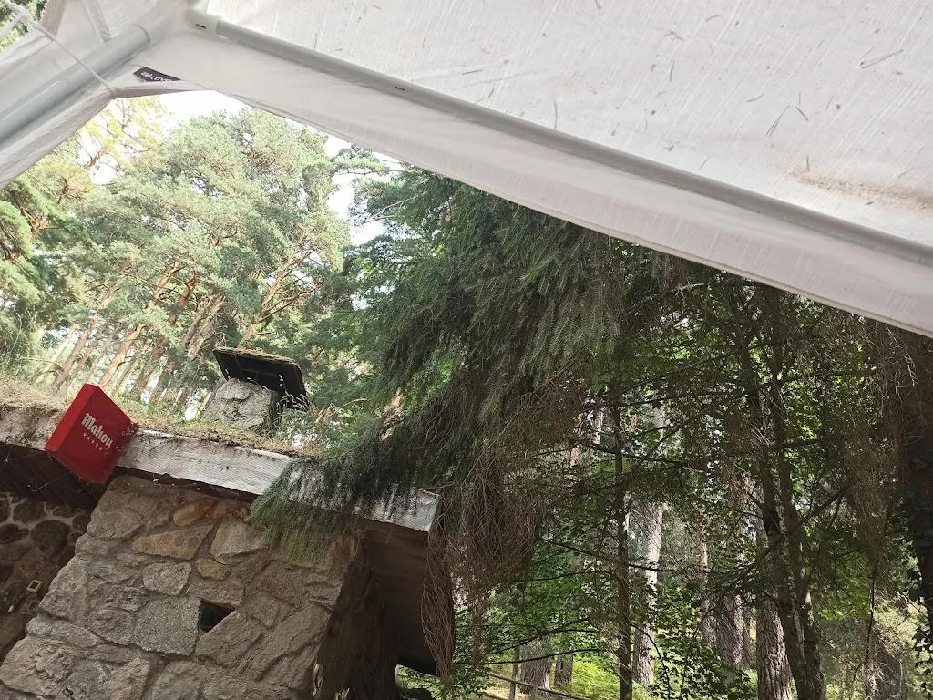 Betsy & The City_Pinar El Chorro_Navafría_review