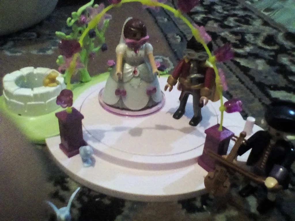 Disco Bar los Chopos_Navalmanzano_slider_image_2