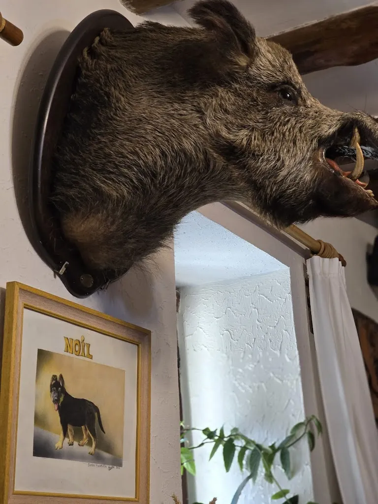 Jacek_Bar EL BERROCAL_Ortigosa del Monte_recensione