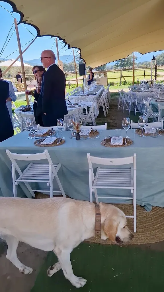 Restaurante La Vereda_Pajarejos_slider_image_2