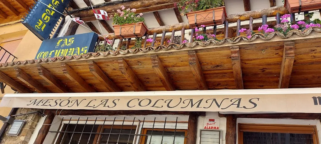Mesón Las Columnas restaurant in Riaguas de San Bartolomé
