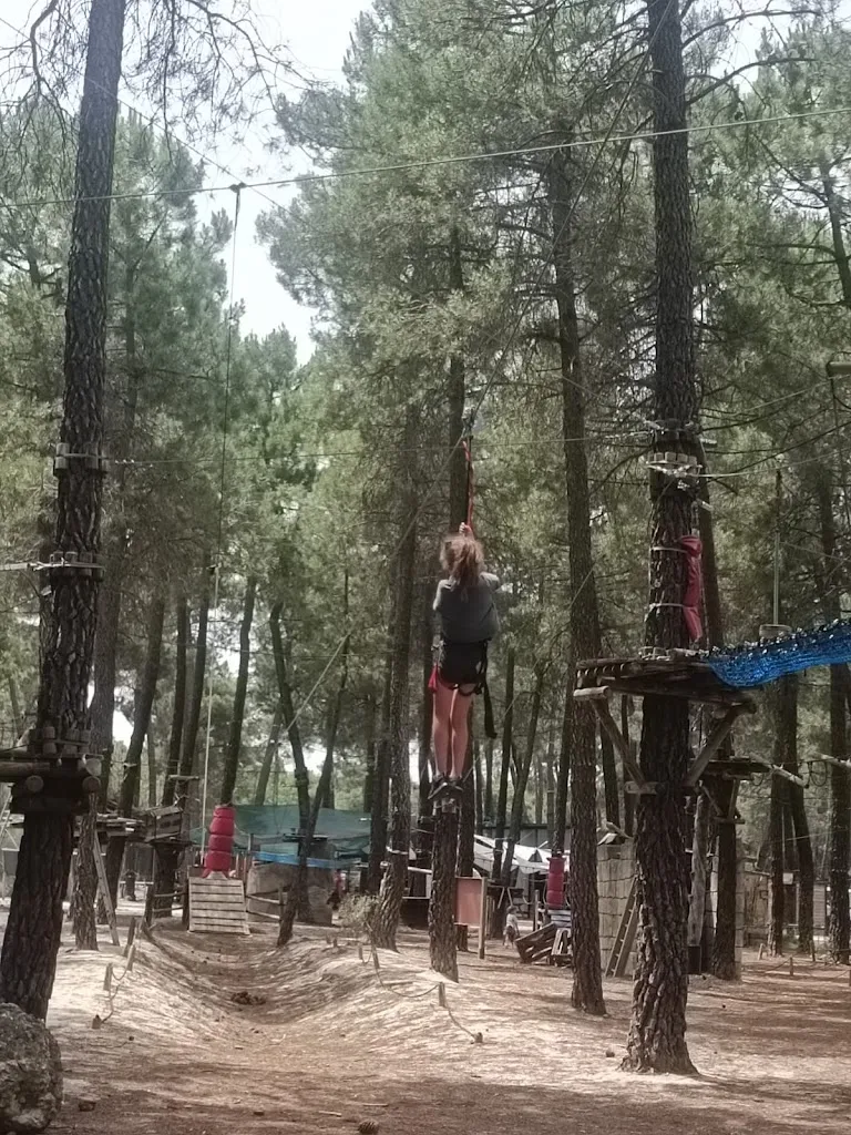 Miguel Iglesias Vicente_Adventure park Pinocio_Sanchonuño_review