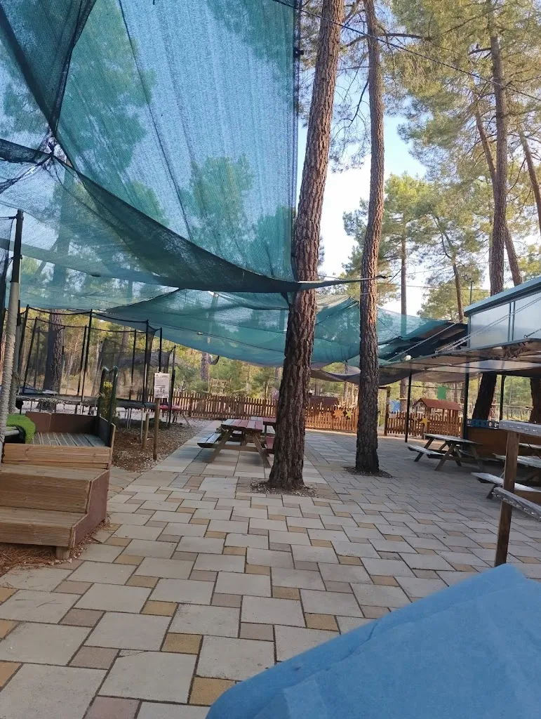 Luis Plaza_Adventure park Pinocio_Sanchonuño_review