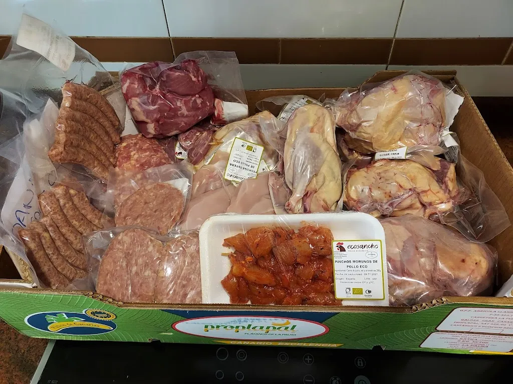 Dan Lop_Sanchonar S.L._Sanchonuño_review