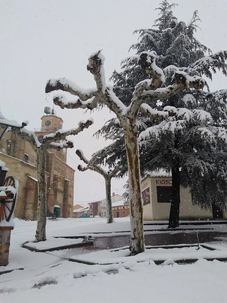 Santiuste de San Juan Bautista restaurant in Santiuste de San Juan Bautista