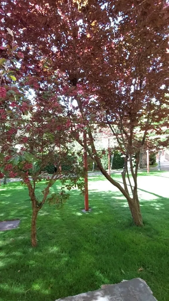 Vasileios Karakostas_Hotel El Rancho_Torrecaballeros_recensione