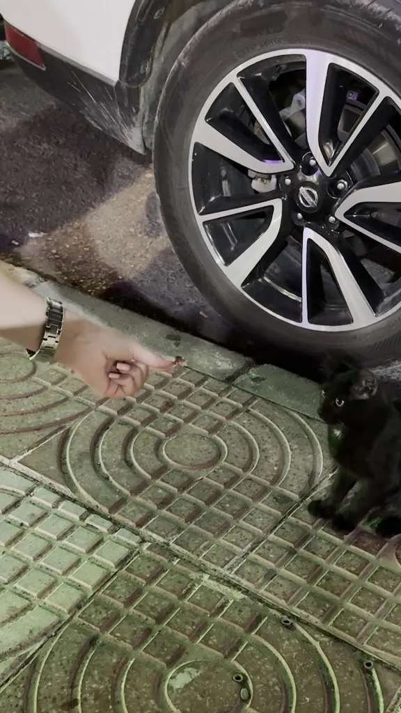 Stefan Gabriel (Umbra)_La Piedra Resto-Bar_Aguadulce_review