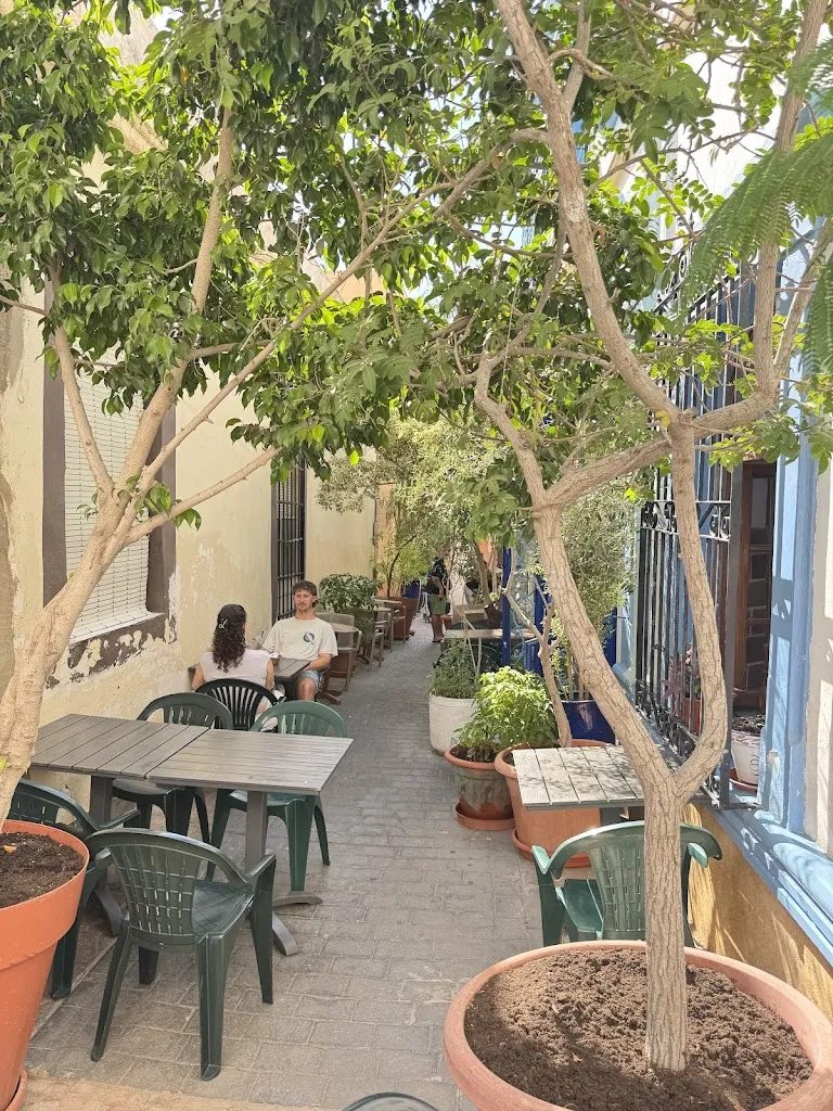 Almedina teashop_Almería_slider_image_2